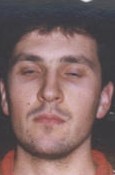 Petar Metlicic