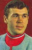 Vladimir Vikulov