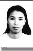 Yanmei Zhang
